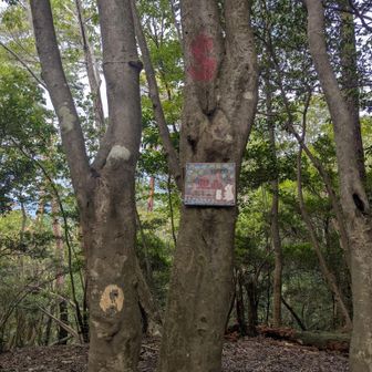 熊山山頂で食事。