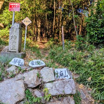 ３座の登山口〜。またまたここから登りが続くけど、けっこうしんどいです(^_^;)👣