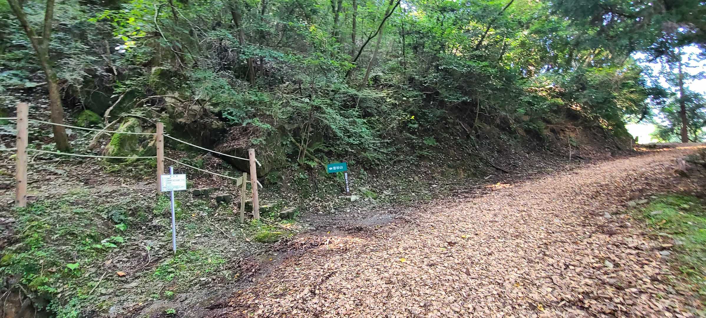 登山口が見えてきましたが、ちょっと先に杉の巨木があるので巨木に寄ってから登りました😊