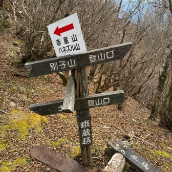 やっと、なんちゃら峠や！（峨蔵越）