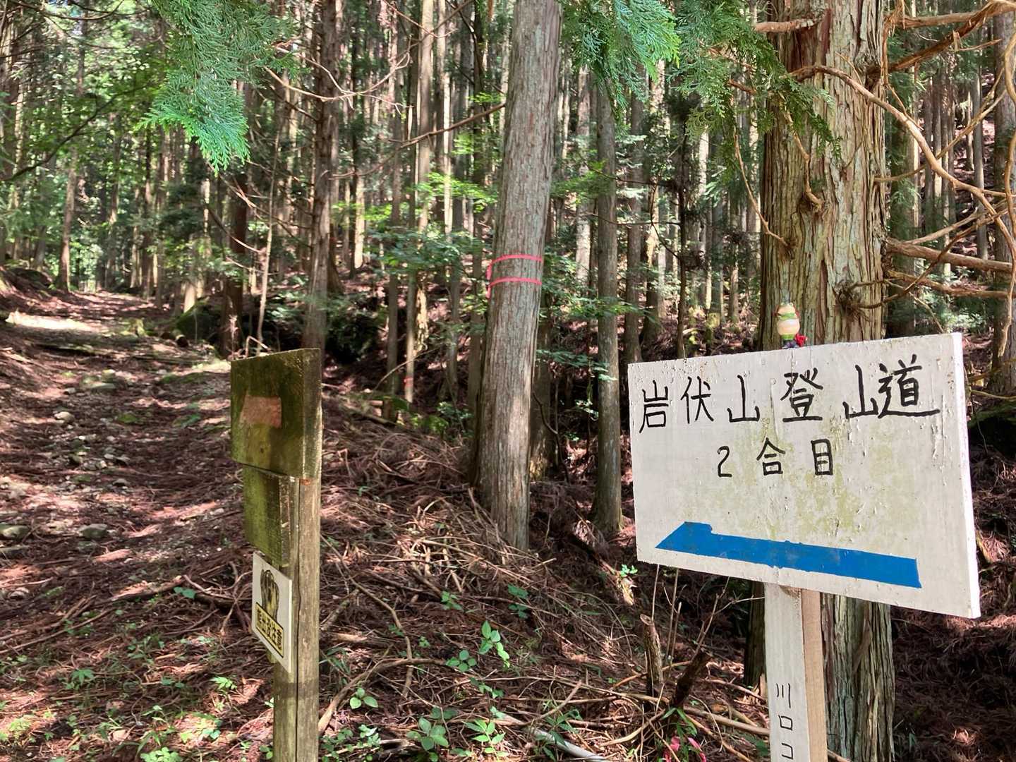 2合目まで無事に下りてきた。