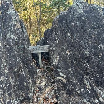 ラクダ岩に寄って見た
