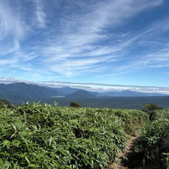 本栖湖に降る道のなんと整備されてることか！