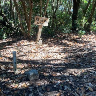 脇道に入って山頂に到着