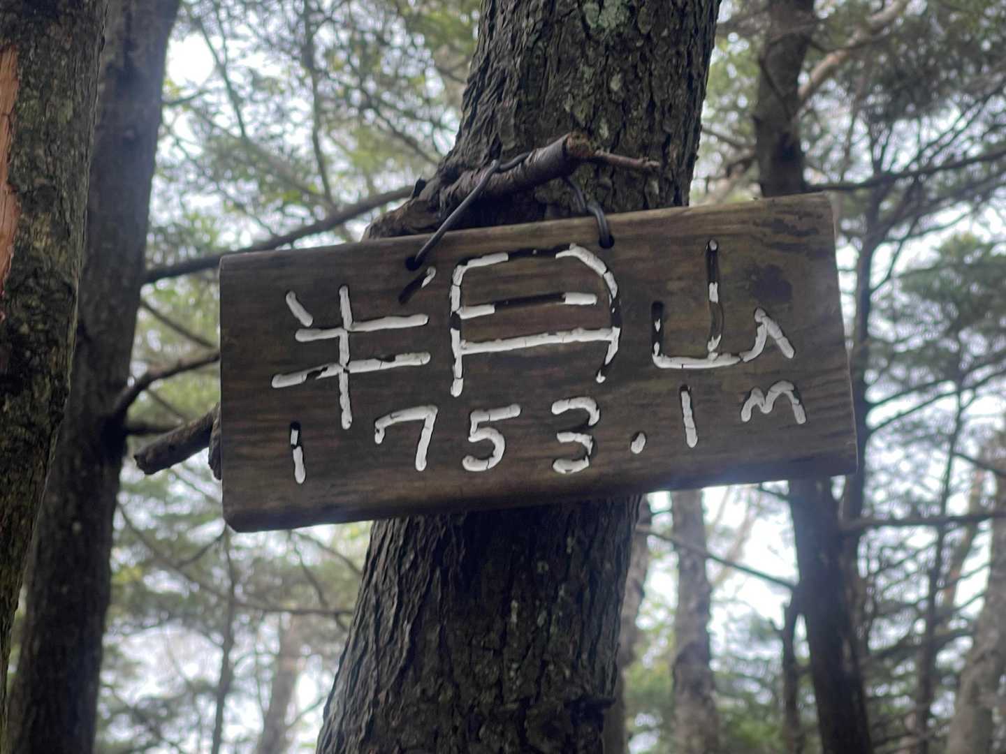 半月山山頂〜