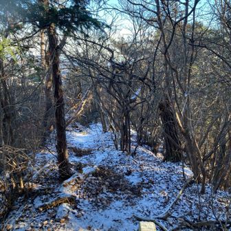 邪魔にならない程度の雪☃️