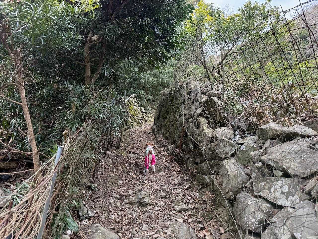 廃畑