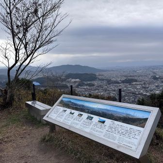 マダム3人にお会いしました
雨は止んでます