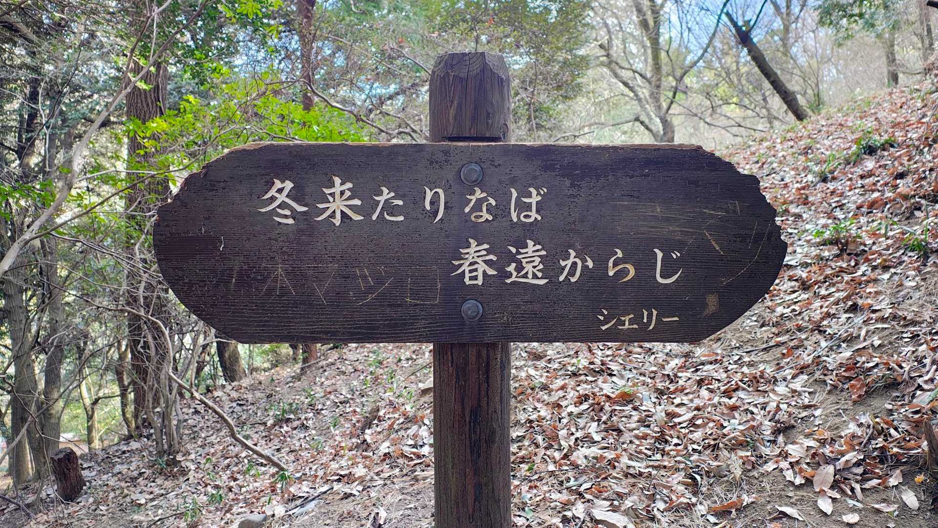 哲学の小径にて