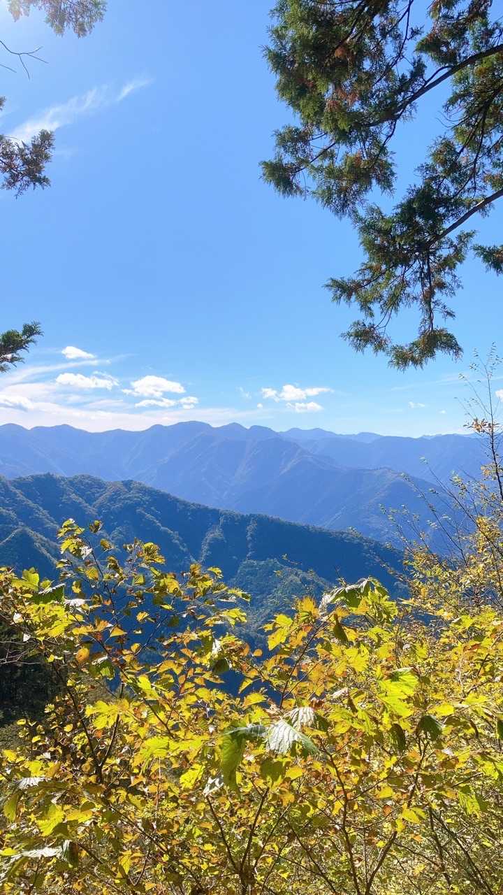 浦山口駅-武甲山 往復コースの写真