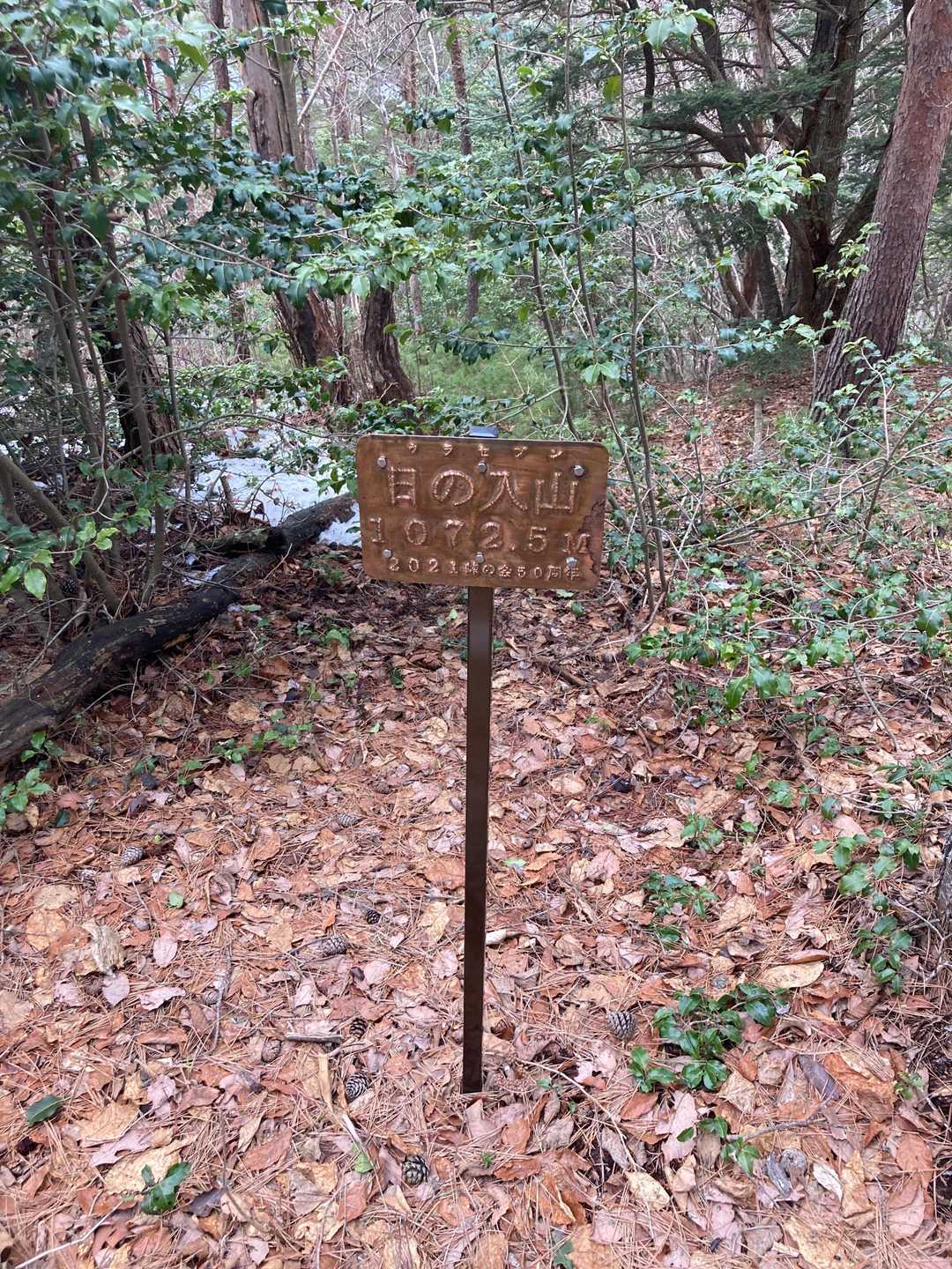 日の入山⛰に着いた❗️
この山も展望はありません。
ここまで、支尾根につられて、ルートロスが数回ありました。少し紛らわしい箇所があって、注意が必要かと思います。