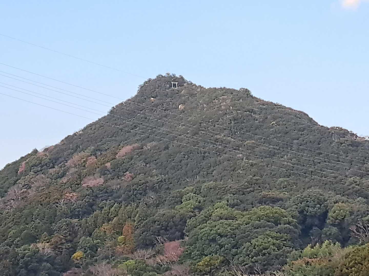 下から鳥居が見えてる