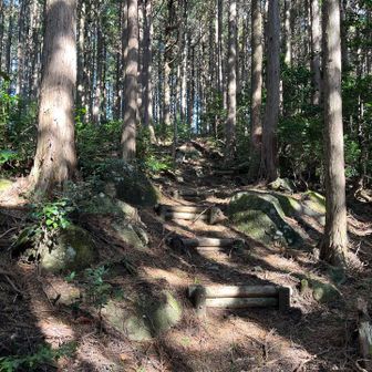 アップダウンがキツめ