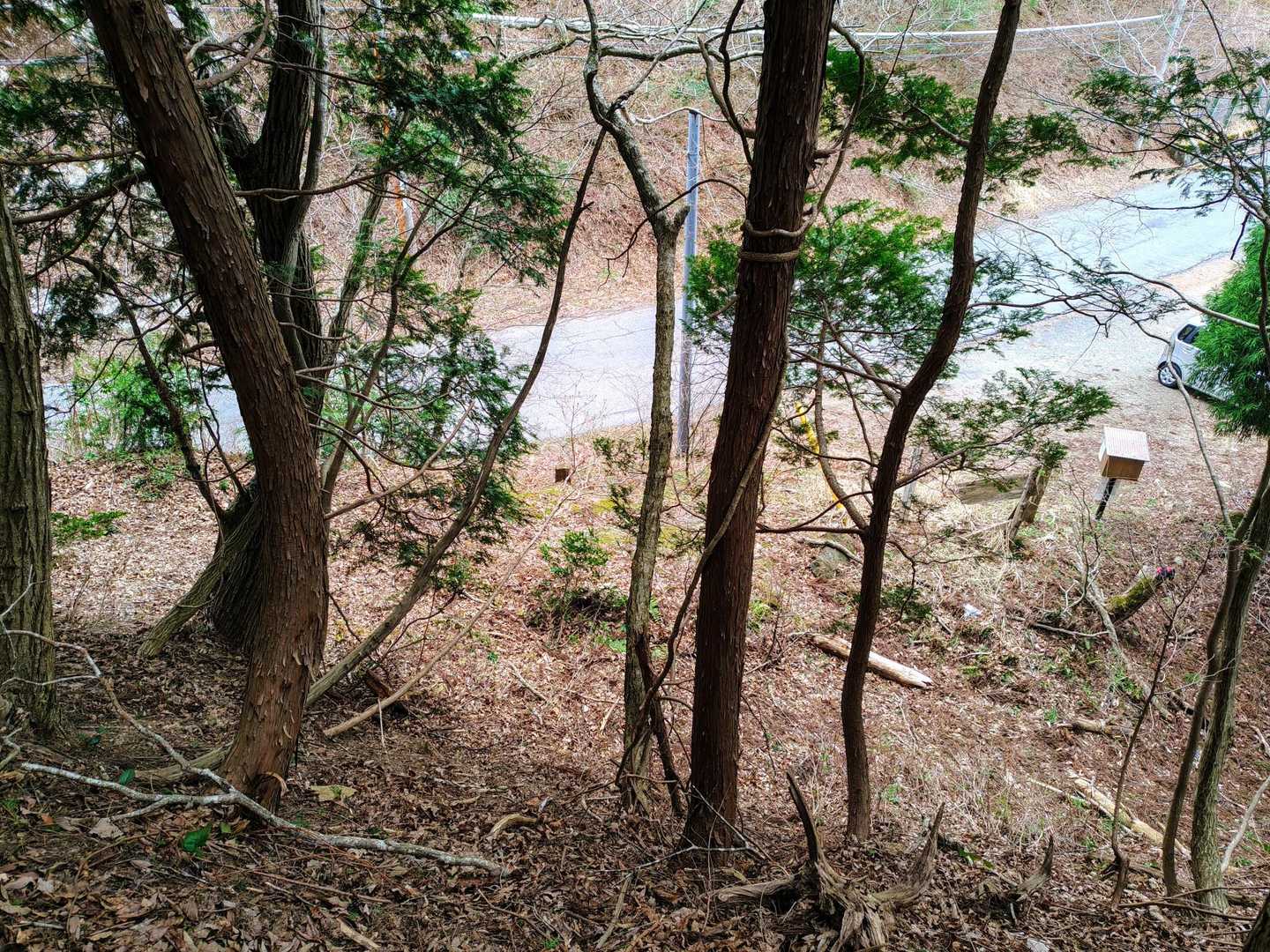 登山口まで下山して来ました😀

今日も誰とも合わず一人で歩いてましたが 比良山地方面の眺望やオオイワカガミも見ることが出来 楽しい山行になりました😀

最後までご覧いただきありがとうございました😊