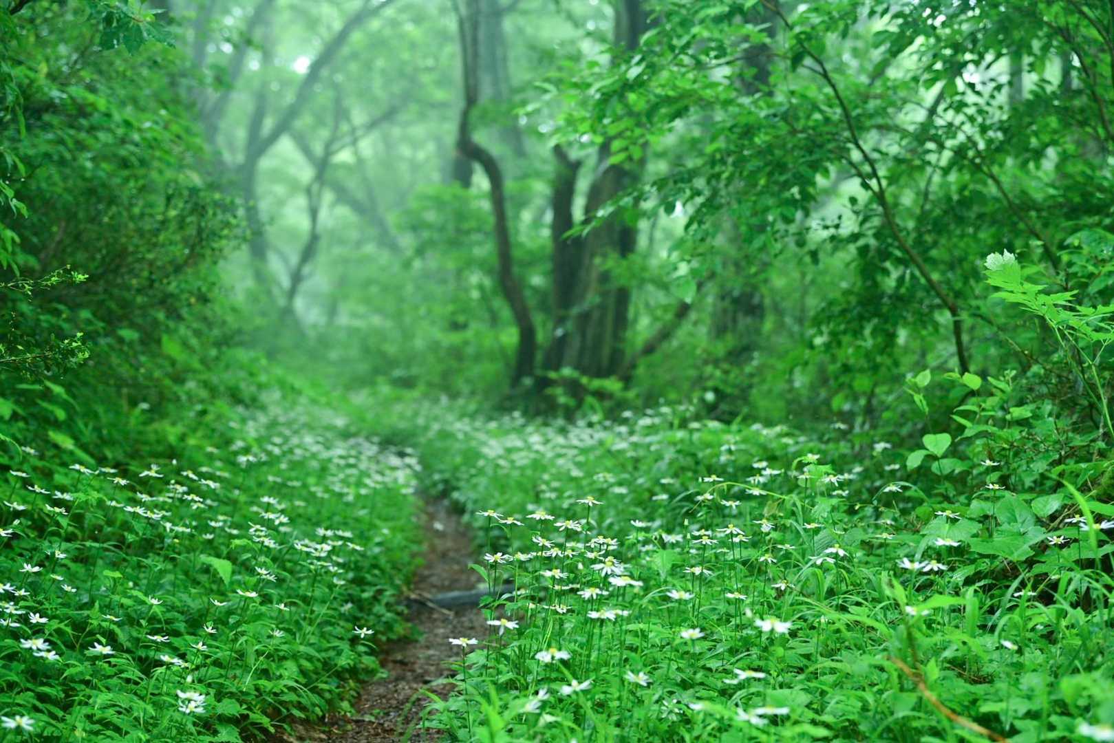下山路も楽しみながら