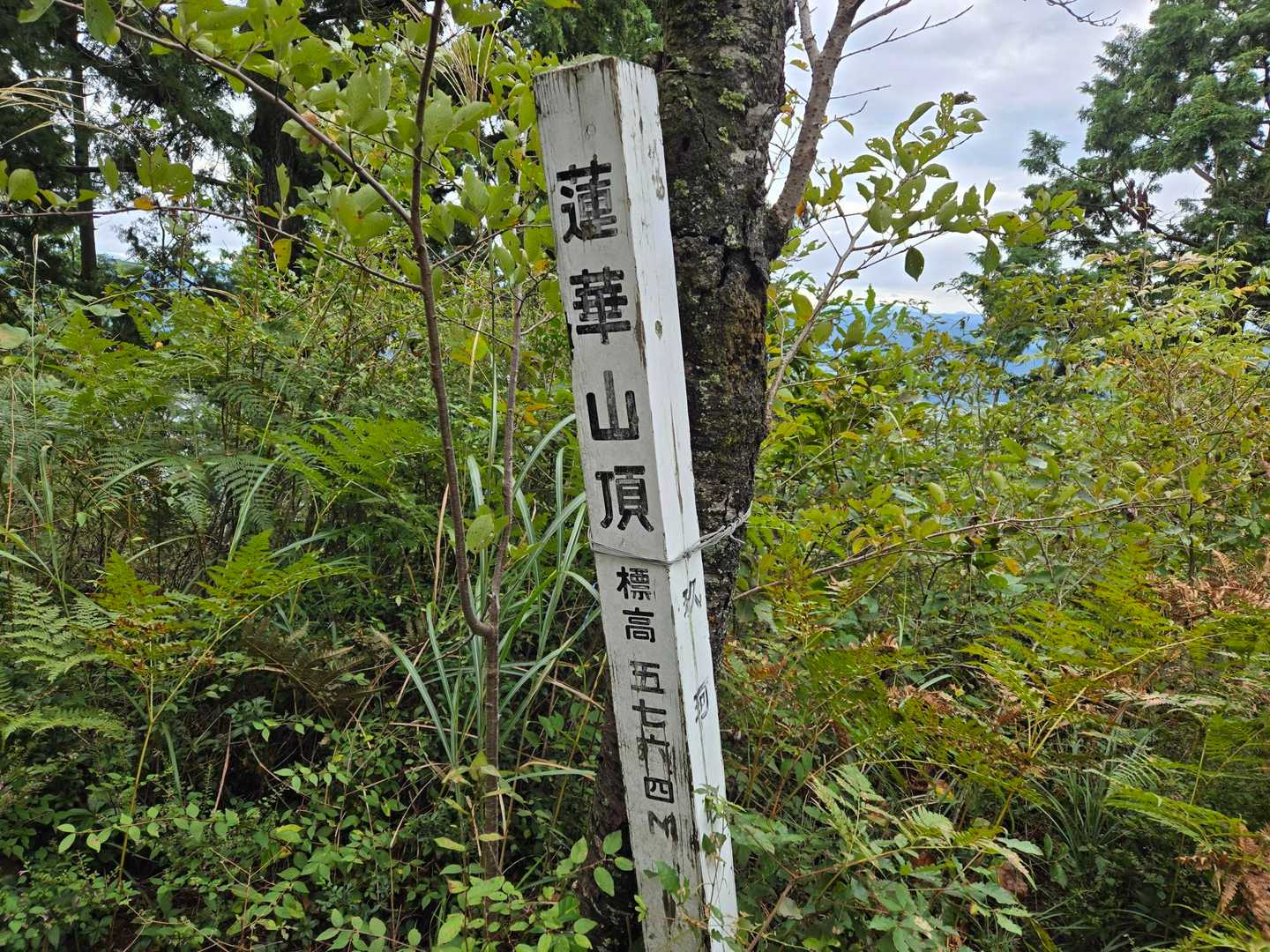 着いた🙌