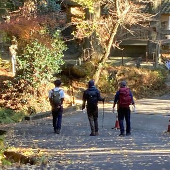 のんびり歩きます。