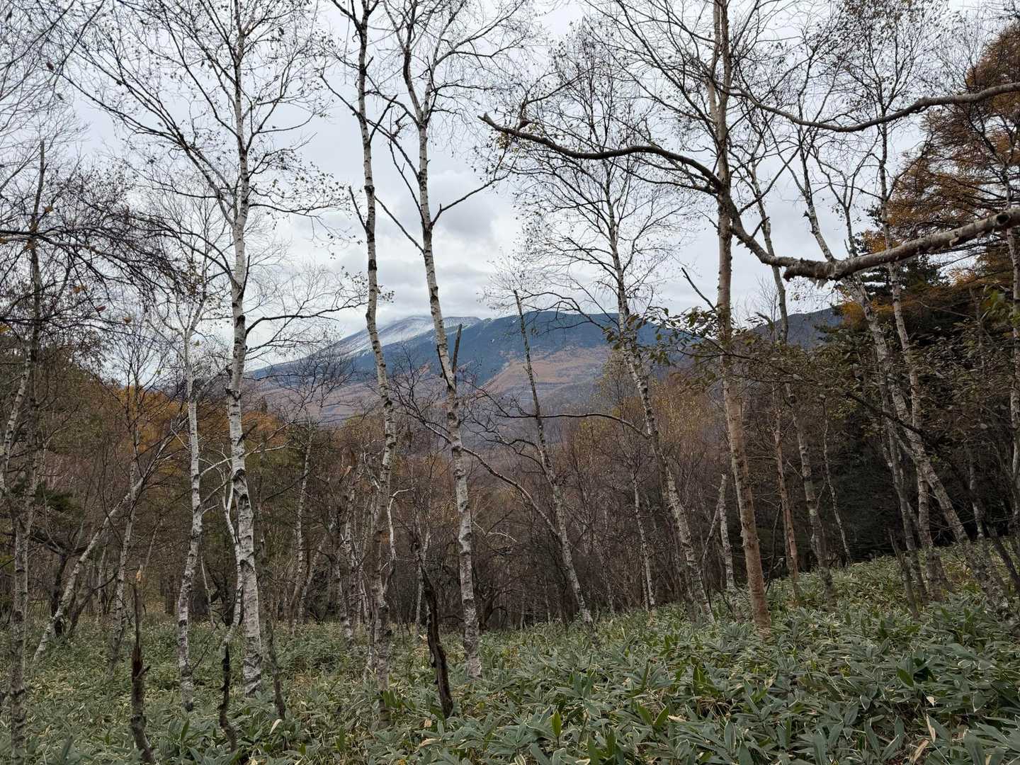 おおー浅間山がよく見える