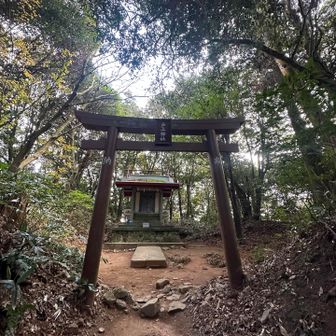 落葉一枚落ちていないほど
綺麗に掃き掃除がしてある🧹✨