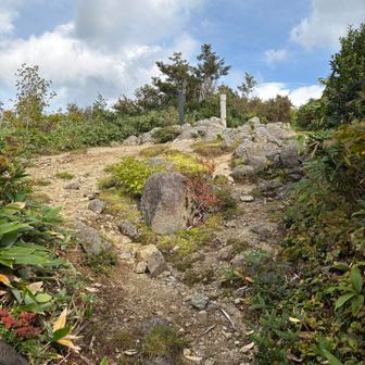 鳥原山山頂。やっと😭
疲れた。
