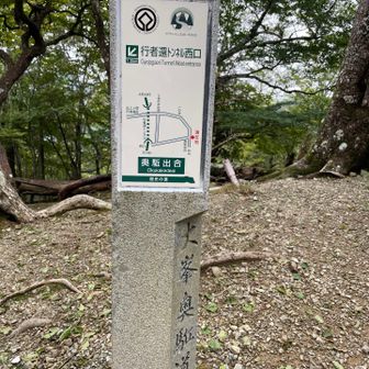 やっと奥駈出会🤣ここから大峯奥駈道