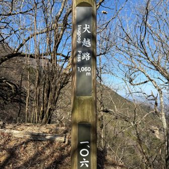 今日は暖かった☀️