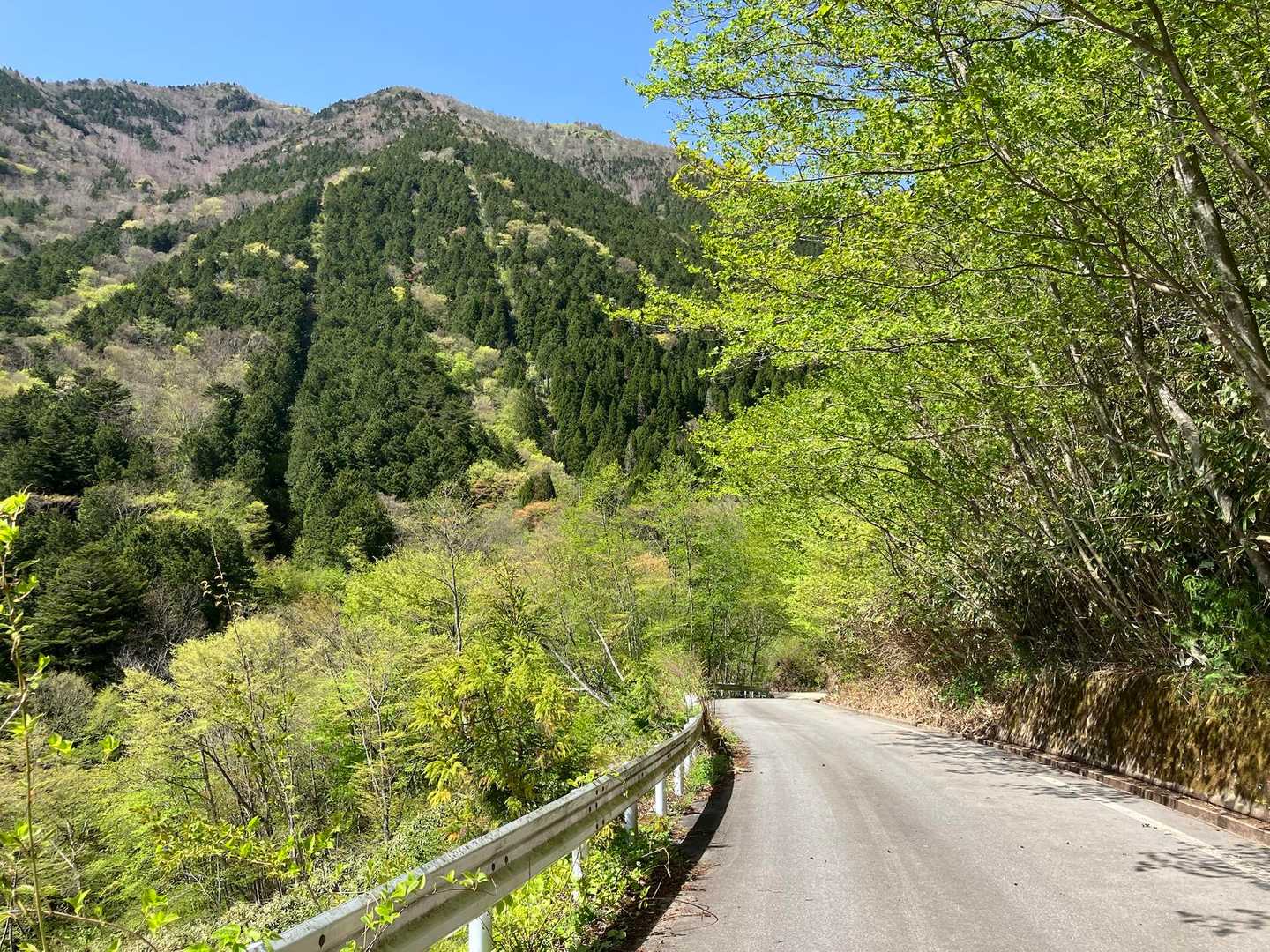 駐車場に向かう道
正面にも立派な山があるけど行けるのだろうか