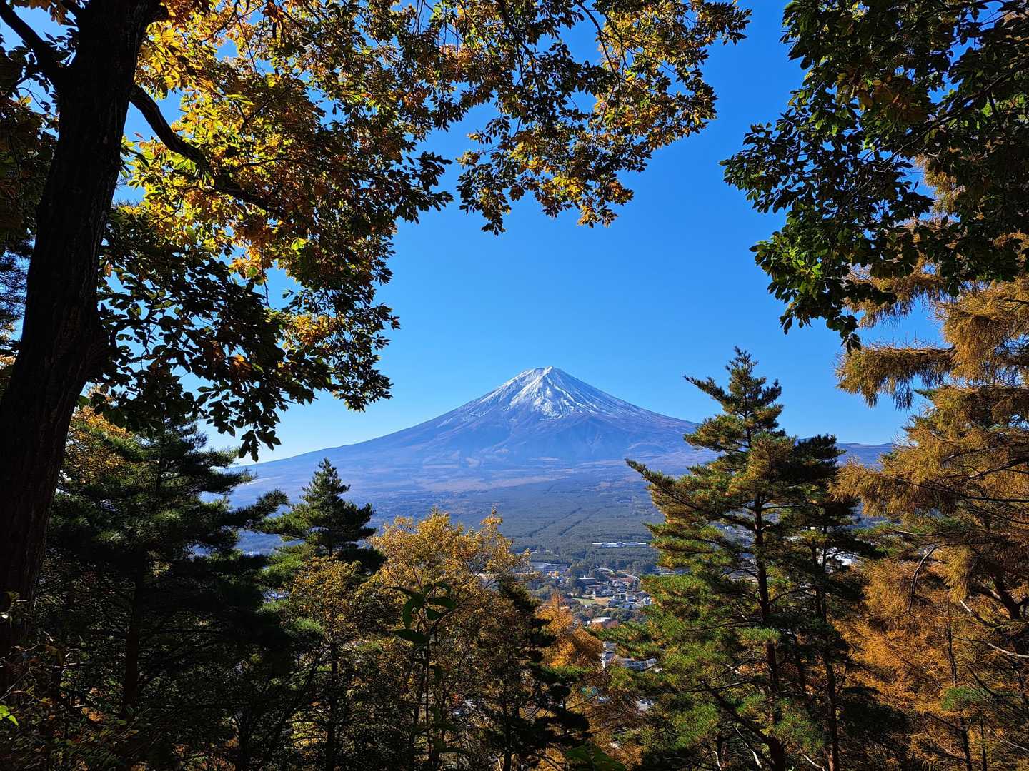 天上山護国神社-富士見台-天上山 往復コースの写真