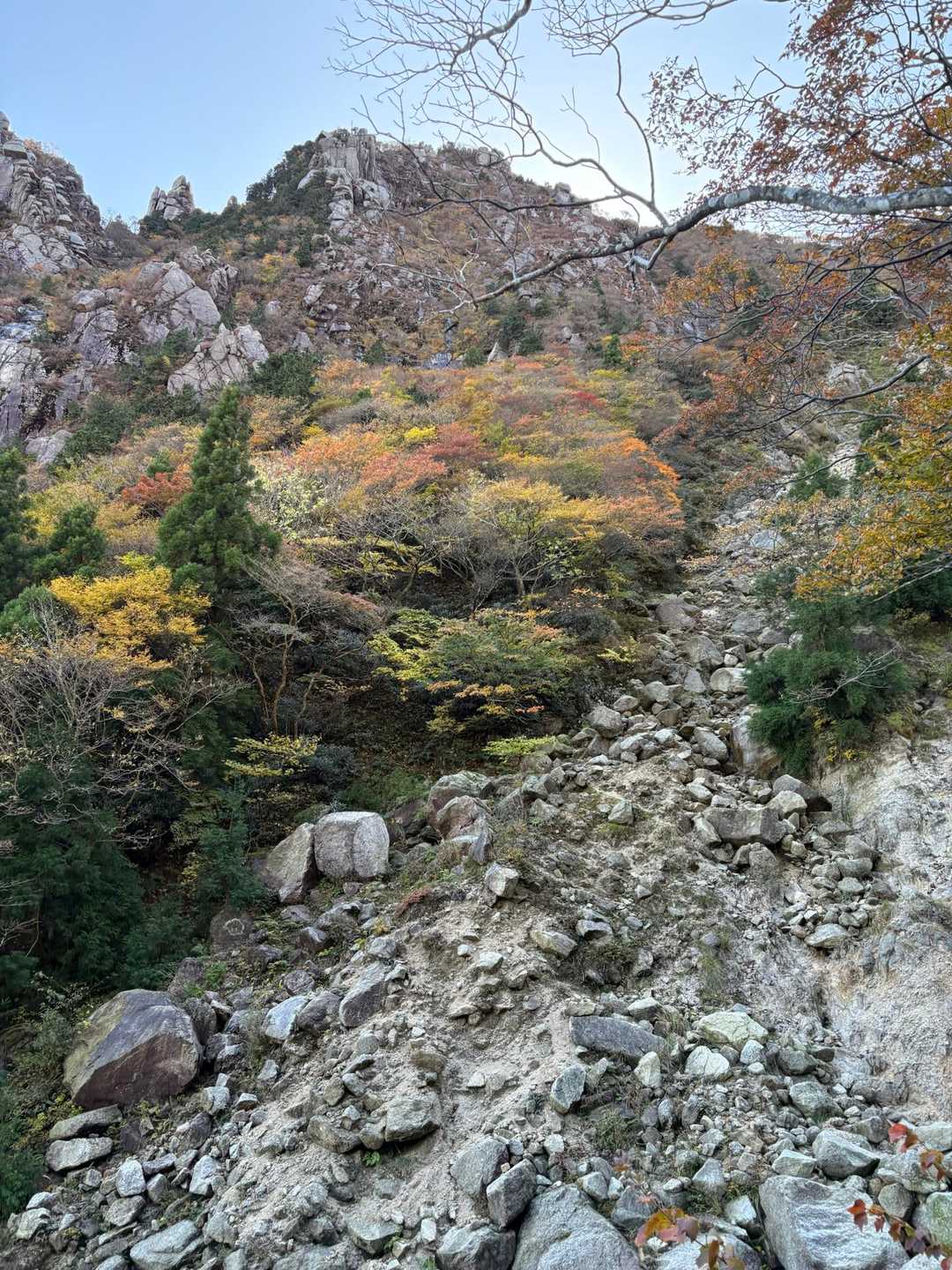 国見峠-山上公園駅-中登山口 周回コースの写真