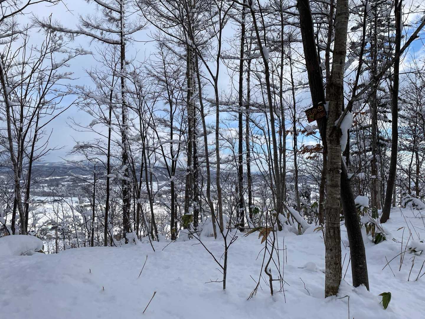 萩の山 周回コースの写真