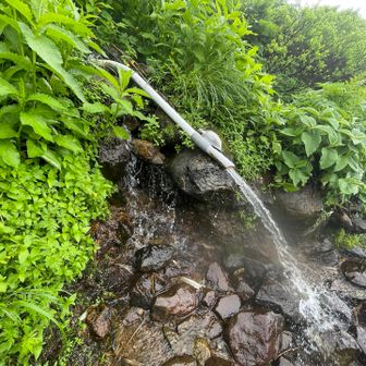 錫杖清水到着
駆けつけ一杯がご褒美の美味さ
しばし錫杖コーヒータイム