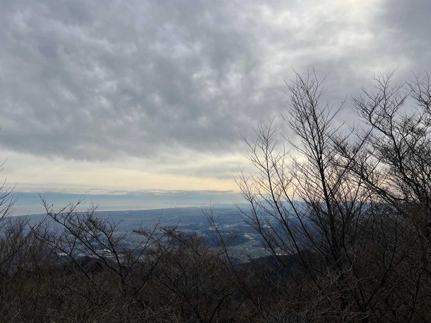 芽吹く前に景色を堪能