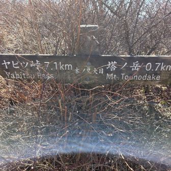 木ノ又大日山頂標識（兼案内板）