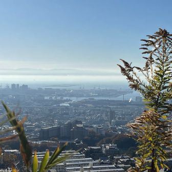 六甲ケーブル下の登山口より登ります