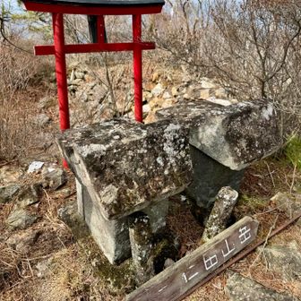 こちらもピーク⛰️