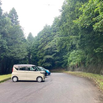 今日はユッピーの森側から
７時着で、車は５台くらいでした