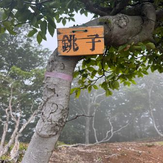 銚子