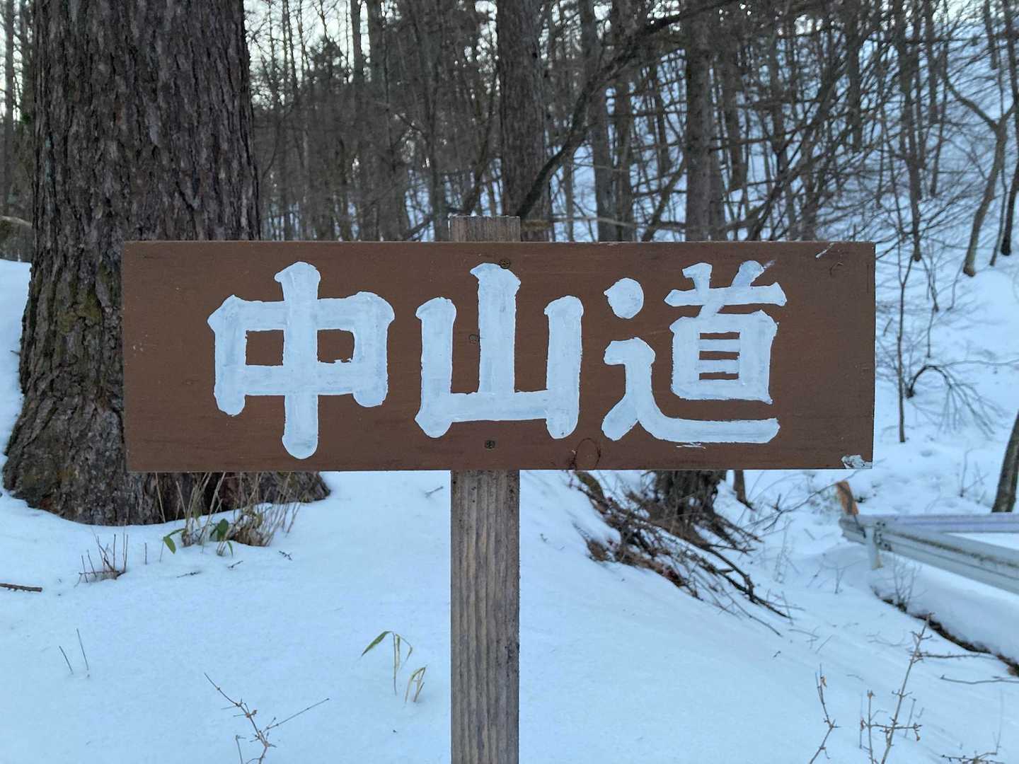 中山道をゆく🚶

https://www.jinriki.info/kaidolist/nakasendo/