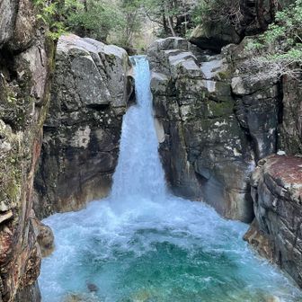 近く寄った方が、迫力あり、カッコ良い。