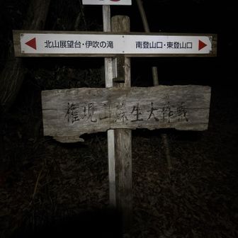 権現山蘇生大作戦って京都大作戦みたいでなんかカッコイイぞ✨