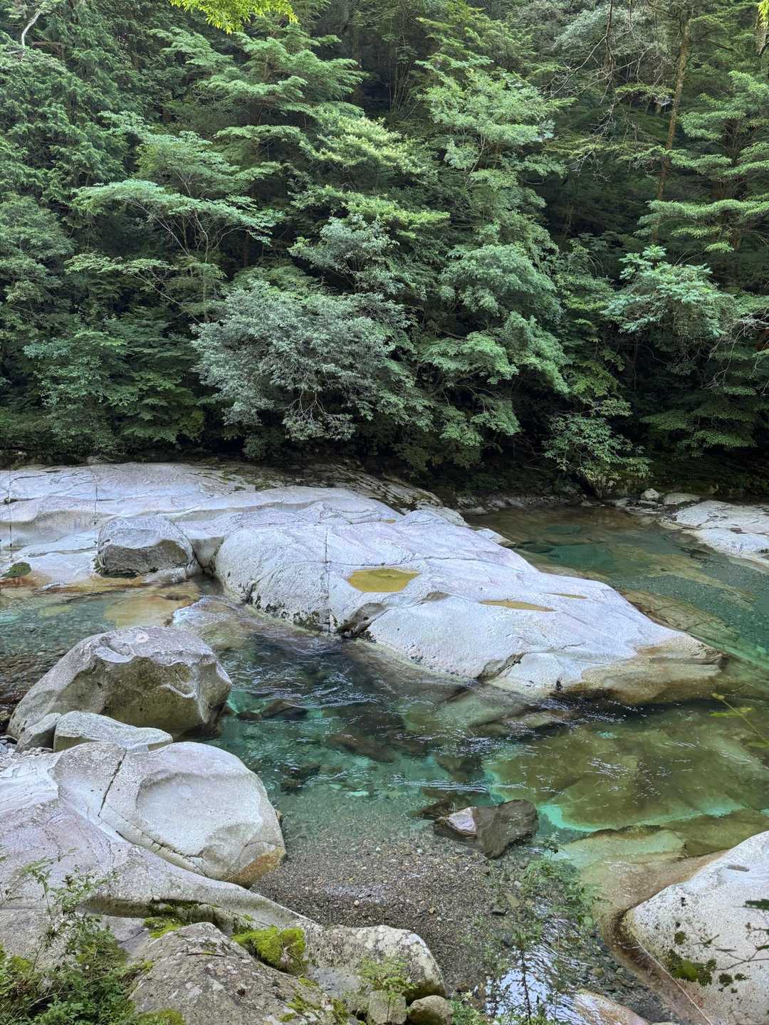 川の水はエメラルドグリーン🟢
キャンプ場🏕️や
散歩コースをウキウキで進む😊