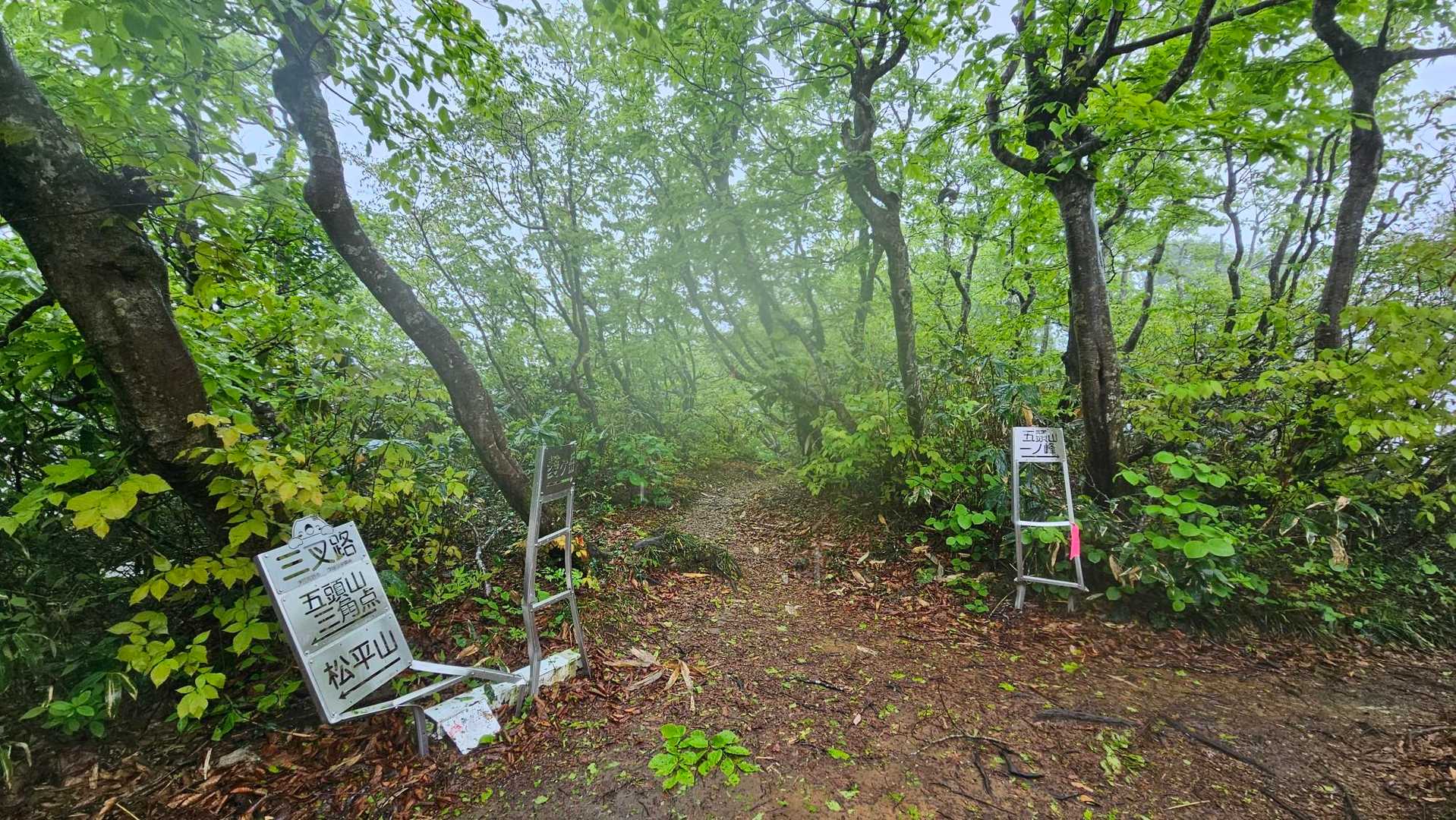 一ノ峰へ🥳
1人の登山者とスライドしました(*^^*)