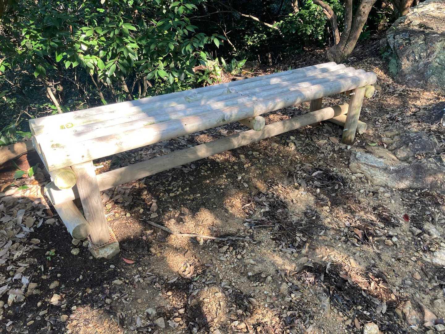 ベンチあったっけ？
このコースは7ヶ月ぶりなので設置されててもおかしくないね