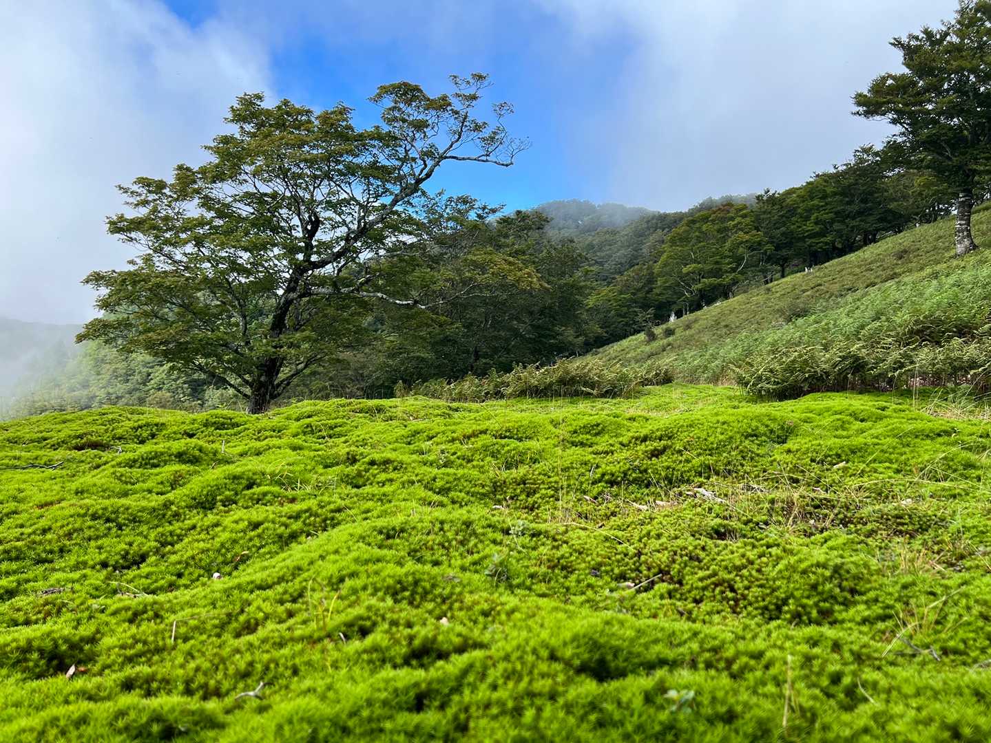 檜塚奥峰が見えます👍