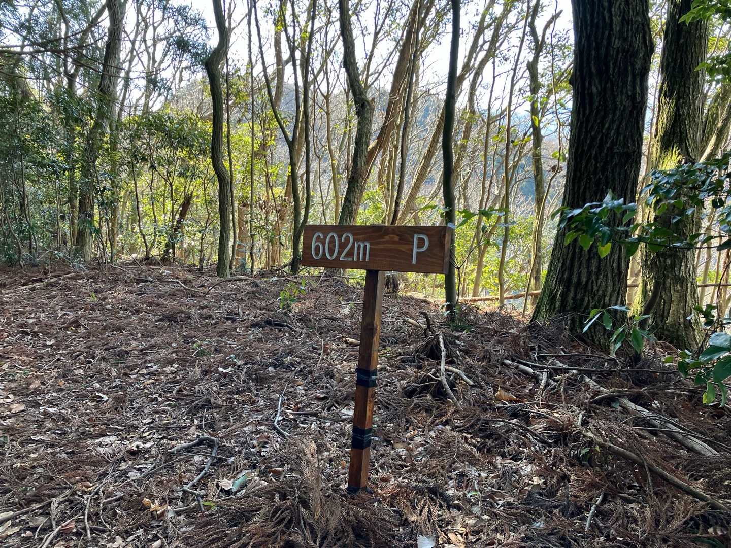 602mのピーク
名前は？
なんとか山とか森とか嶺とかないの。