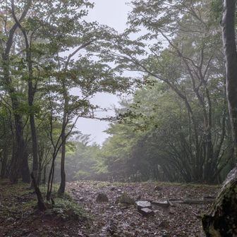 雨が降っていて全く景色は見えない。