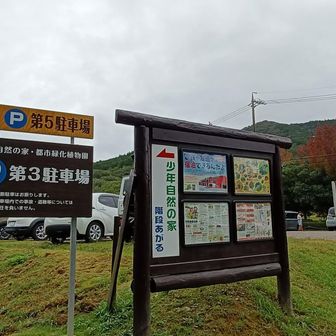 第3駐車場には結構車が止まっている