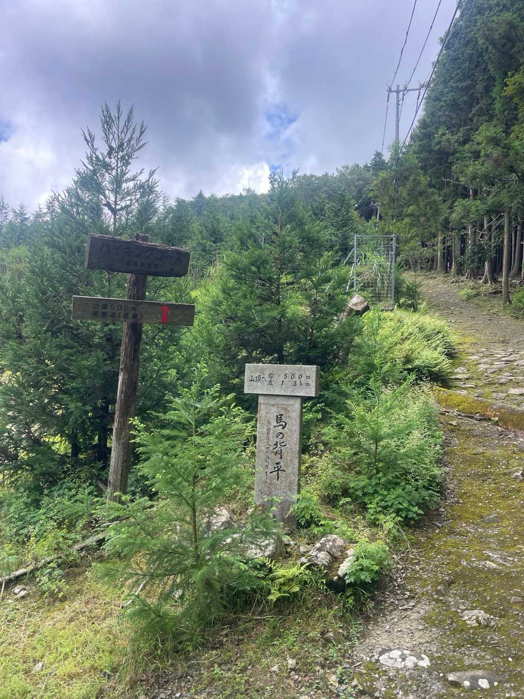 雨山登山口-雨山山-屋床峰-馬の背平-本宮山 周回コースの写真