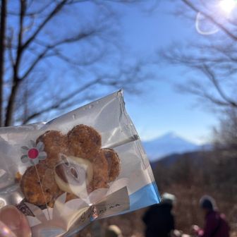 可愛いクッキーをもらったけど、もったいなくて食べられず…😆