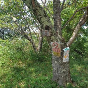 ユーザーkennhisayosi